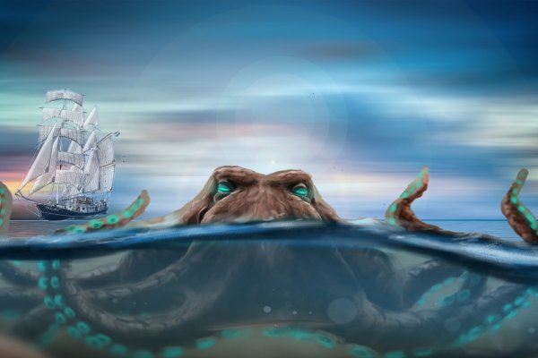 Сайт kraken whitenet