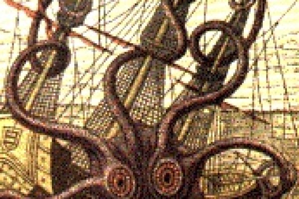 Kraken что это за магазин