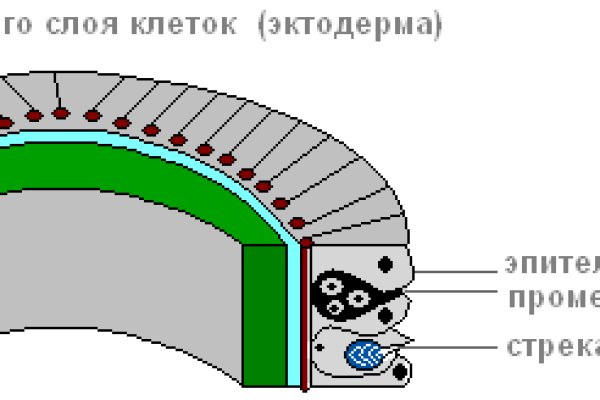 Рабочая ссылка на кракен
