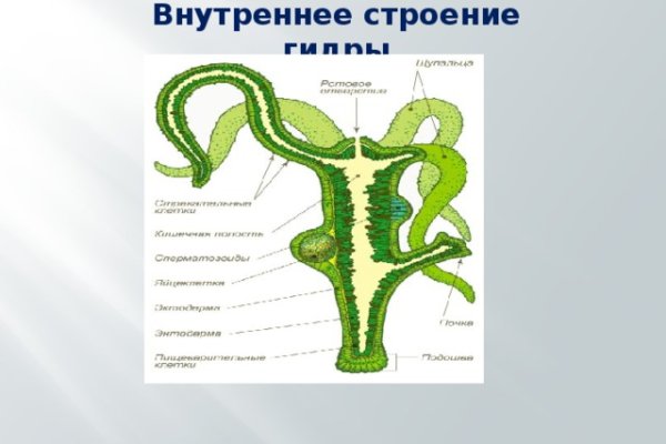 Ссылки на кракен зеркала
