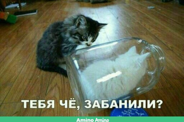 Список луковых tor сайтов