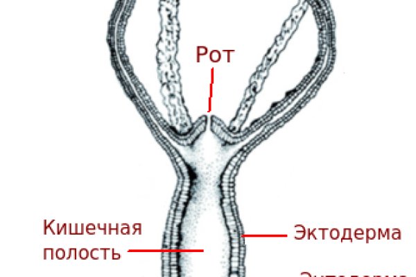 Kraken ссылка актуальная