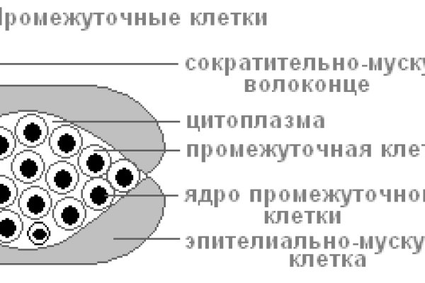 Кракен ссылка fo feng crmp ru
