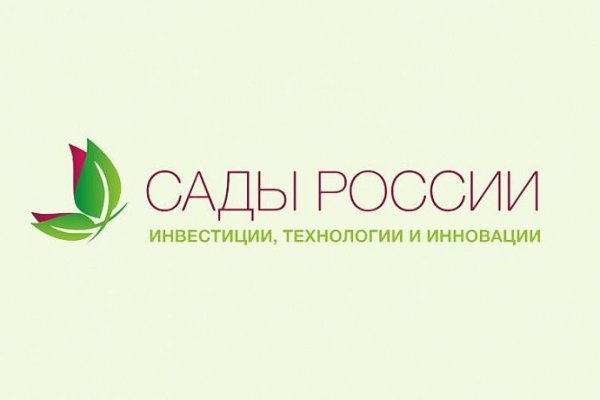 Сайты типа гидры