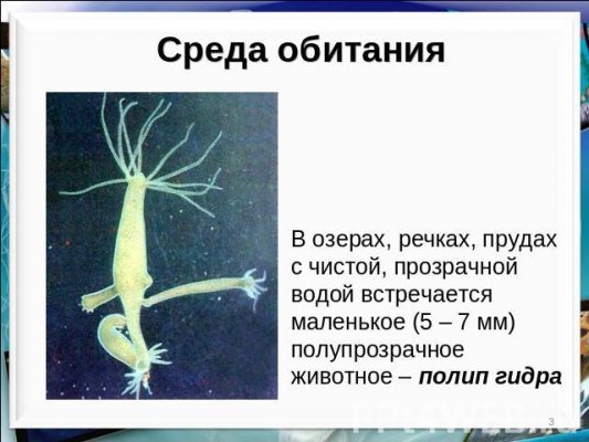 Kra40.at