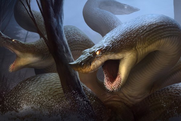Kraken 25at