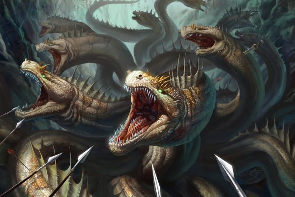 Kraken 13 at com